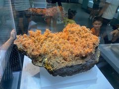 -湖南省地质博物馆