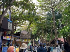 -海南分界洲岛旅游区