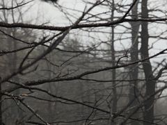 -灵山
