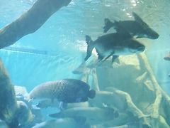 -多彩贵州城极地海洋世界