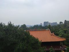 -三水森林公园孔圣园