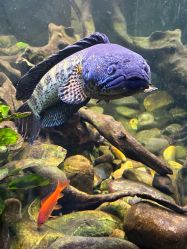 -Zoolung Zoolung动物主题公园(海信广场店)