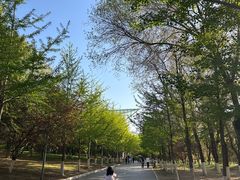 -长白岛森林公园