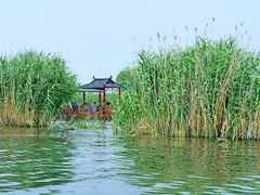 -白洋淀风景区