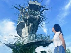 -芒洲湿地公园