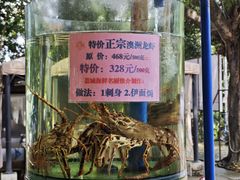 -荔城生鲜盛宴(番禺旗舰店)
