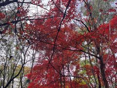 -长春市南湖公园