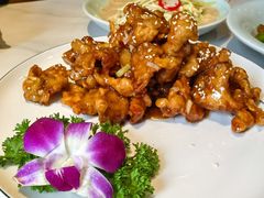 -新侨小馆(东直门北小街店)