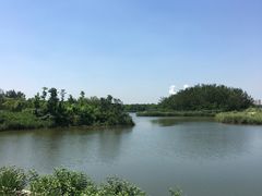 -塘沽森林公园
