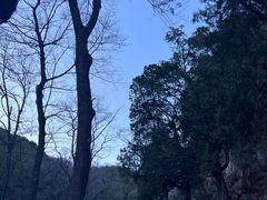 -泰山风景名胜区