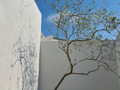 -花溪公园