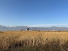 -野鸭湖国家湿地公园