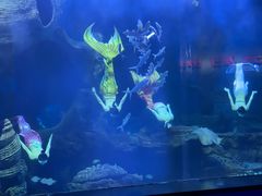 -多彩贵州城极地海洋世界