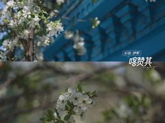 -伊犁老城喀赞其民俗旅游区