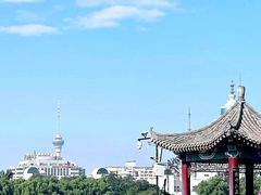 -莲花池公园