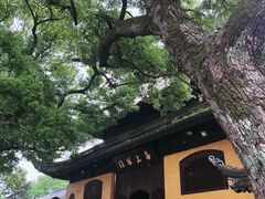 -西园戒幢律寺
