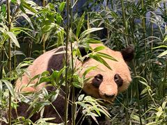 -陕西自然博物馆