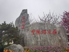 -古柏渡丰乐樱花园