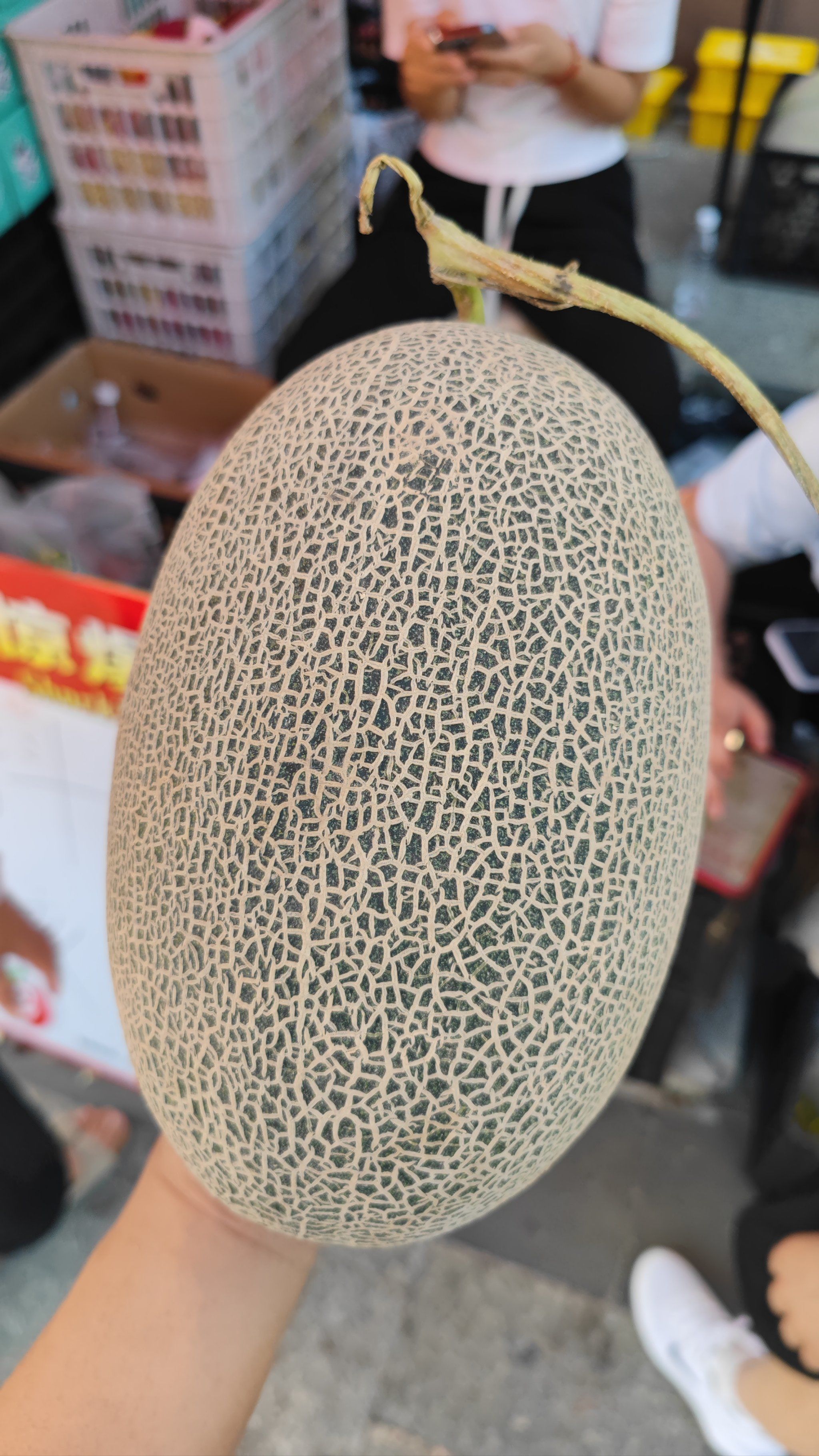 甜蜜甜瓜切切切