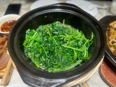 -孙大厨鸽子馆(休门店)