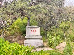 -崂山仰口游览区