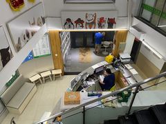 -爱侣宠医·鹦鹉专科·小型哺乳类·异宠专科(灵石路店)