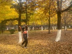 -长白岛森林公园