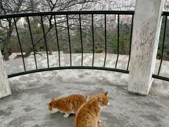 -贮水山儿童公园
