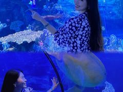 -左海海底世界