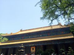 -普陀山风景名胜区-法雨禅寺