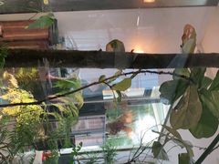 -IL Forno 意坊·意大利餐厅(花园店)