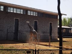 -石家庄市动物园