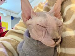 -平行世界·猫咖(首经贸店)
