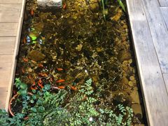 -邈墨茶馆(大兜路1号店)