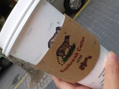 猫屎咖啡拿铁-猫屎咖啡(日月光中心广场店)