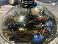 -争先鲜·蒸汽海鲜自助·鲜切牛肉