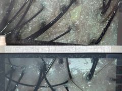 -成都仁和新城购物中心