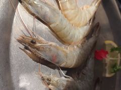 -韩悦牛排烤肉(仓山万达店)