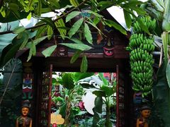 -呀路古热带植物园