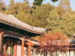 -听鹂馆饭庄(颐和园店)