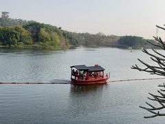 -广东花都湖国家湿地公园