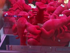 -深圳华盛奥特莱斯(华南一道店)