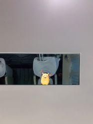 -丝域养发馆