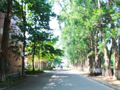-广东外语外贸大学(白云山校区)