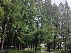 -上海虹桥迎宾馆