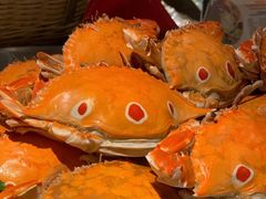 -美食汇自助西餐厅(荆州富力万达嘉华酒店)