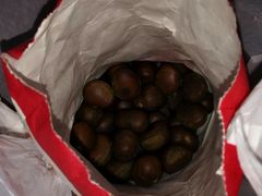 -阿男野栗王(金门路店)