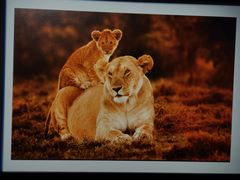 -罗红摄影艺术馆