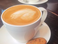 -blue frog蓝蛙(长泰广场店)