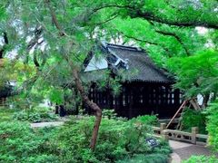 -上海醉白池公园